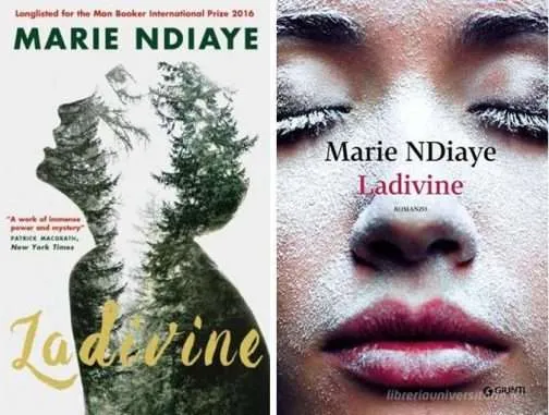 bookblast ladivine marie ndiaye