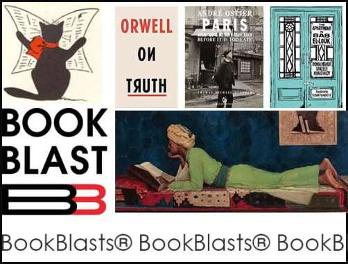 bookblast december top ten reads
