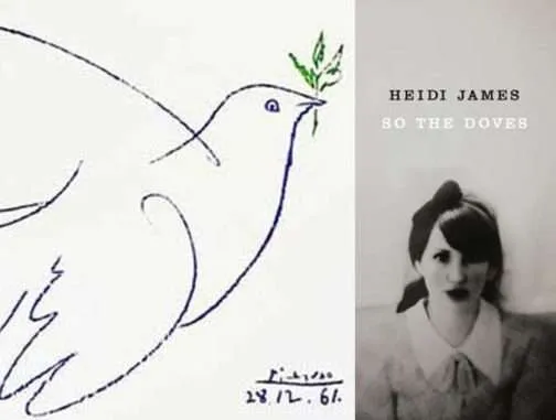 so the doves heidi james bookblast review