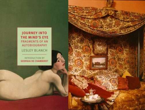 journey into the mind's eye new york review of books media release