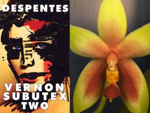 virginie despentes vernon subutex 2 review bookblast diary