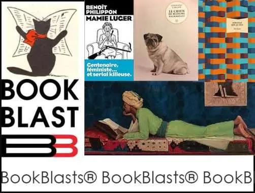 top 5 french reads bookblast diary french reads january 2019