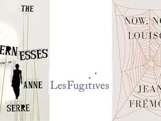 The Governesses Anne Serre Now Now Louison Jean Frémon BookBlast Review
