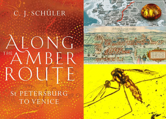 bookblast diary review along the amber route schuler