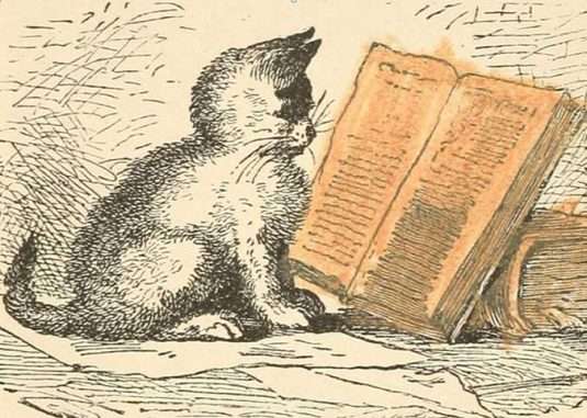 dispatches from the interns desk bookblast diary